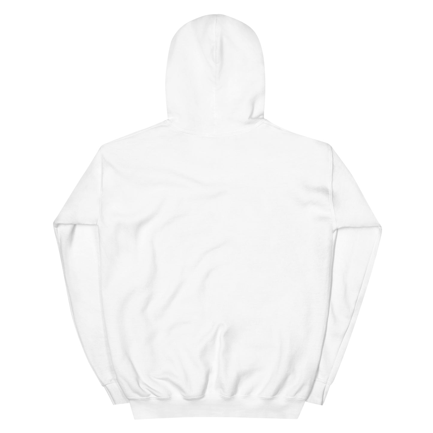 triangle mountains | hoodie