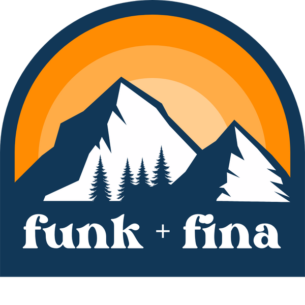 f u n k   +   f i n a