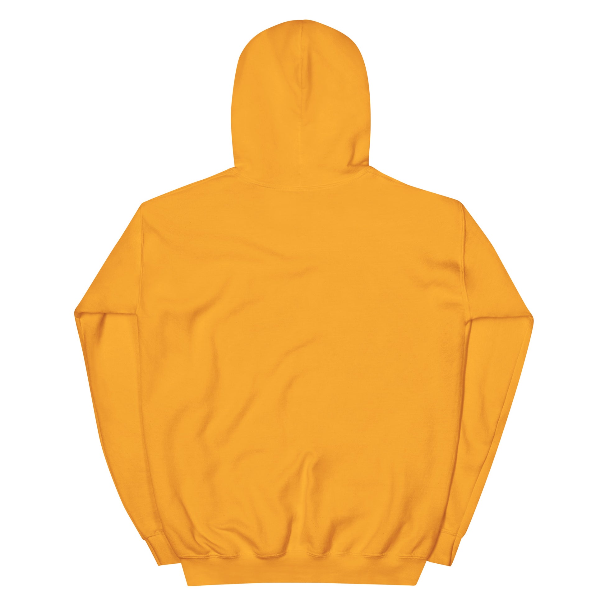 triangle mountains | hoodie