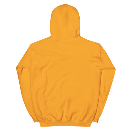 triangle mountains | hoodie