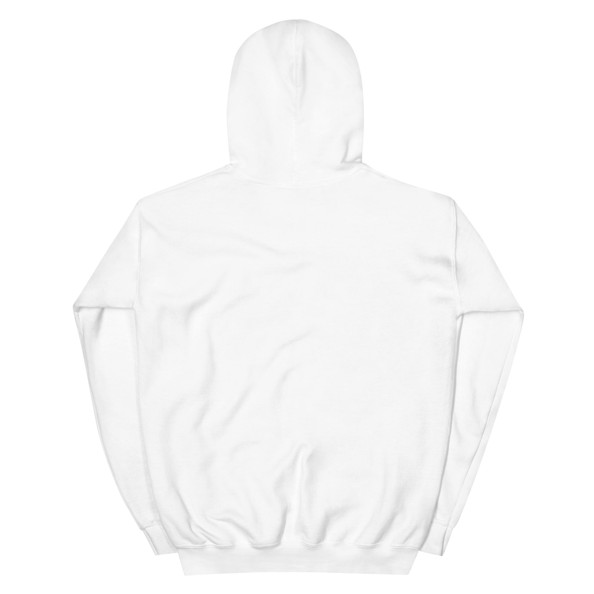 triangle mountains | hoodie