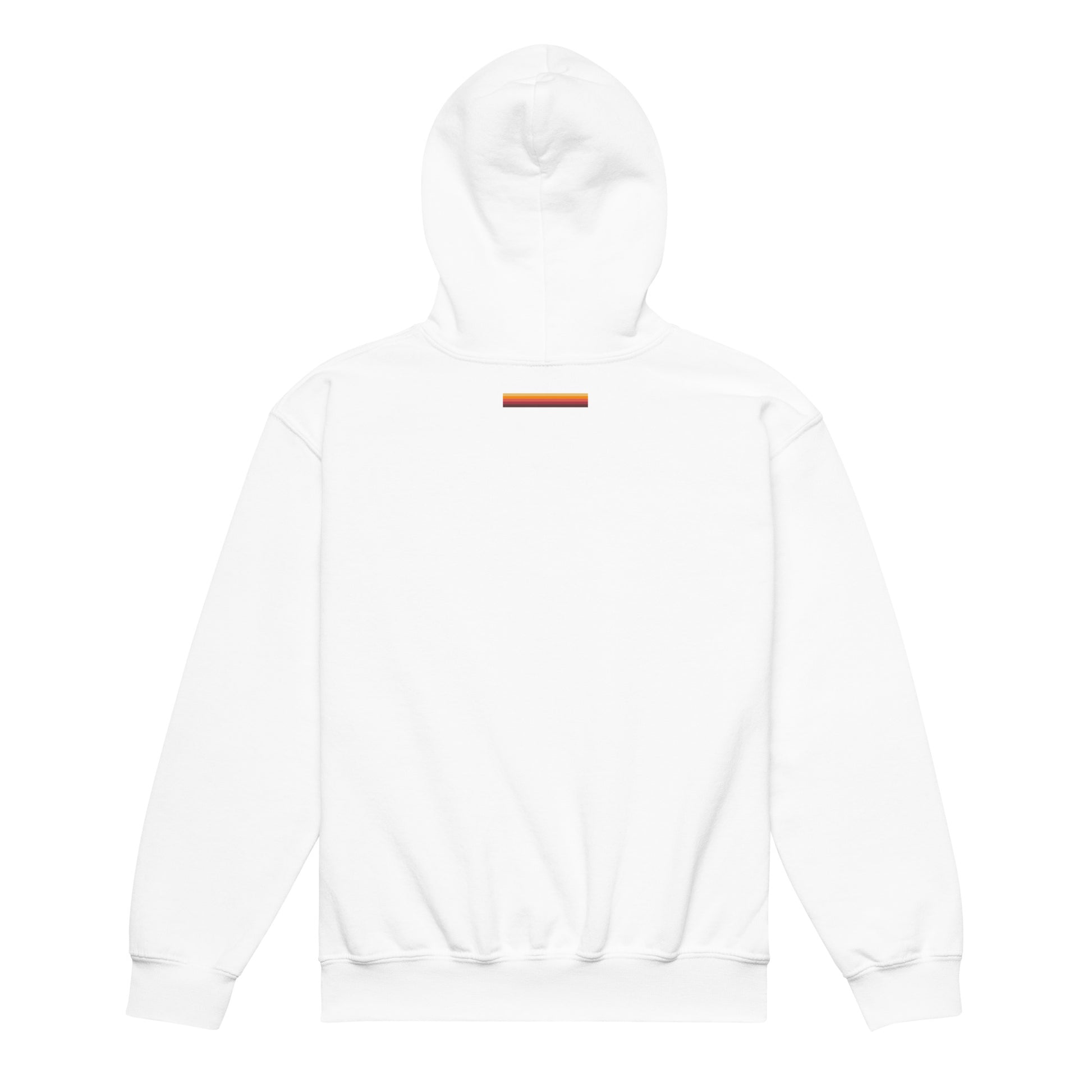 discoball | youth hoodie